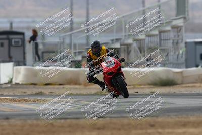 media/Mar-02-2025-Race Pace (Sun) [[8bec80ae00]]/12-Vested (Turn 2) 1111am/